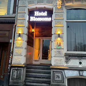 Blossoms 2*, Amsterdam Niederlande